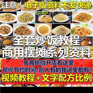 花式炒饭视频教程 泡菜蛋炒饭海鲜盖饭制作 特色小吃配方技术课程