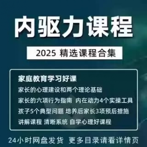 内驱力培训课程培养孩子自觉性提升内在亲子教育学习电子版资料