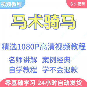 马术骑马视频学习教程新手小白自学零基础入门精通教学课程全集