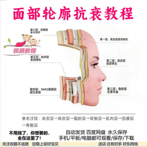 美商课程面部轮廓抗衰美肤减龄变美视频教程形象管理内在美好气色