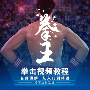 拳击教学视频 自学教程 训练零基础运动入门健身搏击格斗武术课程