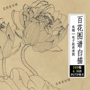 百花图谱白描线稿图集 国画花卉植103幅tif格式3.6G高清图片素材