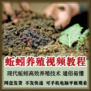 蚯蚓养殖技术视频教程素材零基础农业创业大棚如何养蚯蚓高效素材