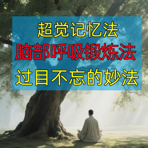 过目不忘修炼记忆力脑部呼吸锻炼法改造大脑健身气功养生训练方法