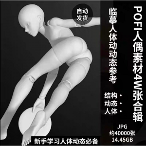 pofi无限人偶4W截图绘画素材pofi无线人偶人体动态学习素材临摹
