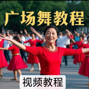 中老年广场舞视频下载高清视频教学打包MP4 MP3背面动作分解教程