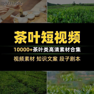 茶叶茶业茶具茶道茶艺茶文化知识文案茶园采茶泡茶高清短视频素材